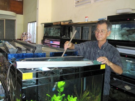 Nếu[-]đã[-]lỡ[-]nuôi[-]thì[-]nên[-]quan[-]tâm[-]chăm[-]sóc[-]và[-]cho[-]chim[-]cảnh,[-]cá[-]kiểng[-]ăn[-]đầy[-]đủ.[-](ảnh[-]minh[-]họa)